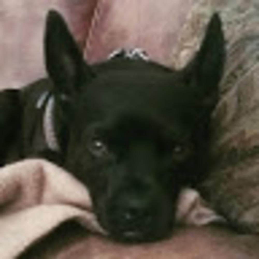 Meet your Posher, Angie